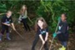 Four pupils spend holidays building a wildlife habitat